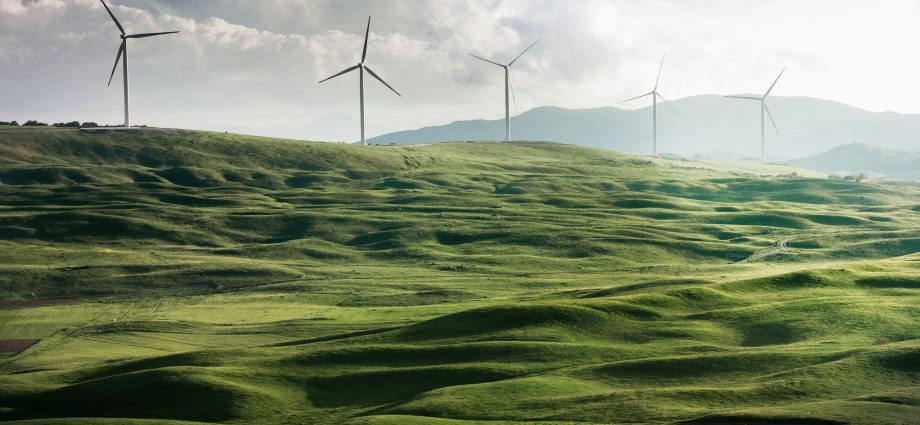 Champ d'éoliennes